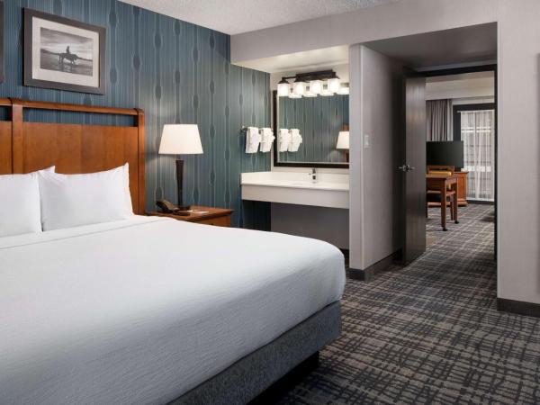 Embassy Suites by Hilton Austin Central : photo 3 de la chambre suite 2 pièces avec lit king-size - non-fumeurs