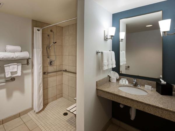 Hilton Garden Inn Tucson Airport : photo 2 de la chambre chambre lit king-size avec douche accessible en fauteuil roulant - adaptée aux personnes à mobilité réduite