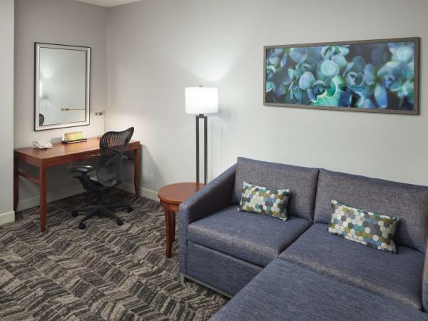 Hilton Garden Inn Tucson Airport : photo 2 de la chambre suite junior lit king-size avec coin salon