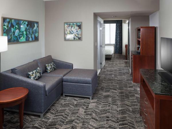Hilton Garden Inn Tucson Airport : photo 2 de la chambre junior king suite with roll-in shower - mobility access