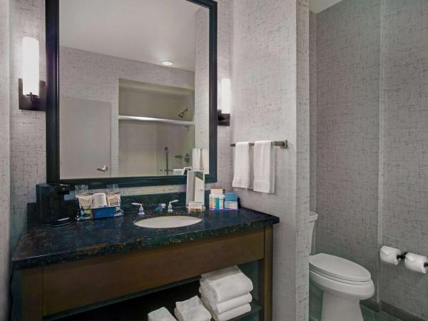 Hampton Inn and Suites Austin University Capitol : photo 4 de la chambre chambre lit king-size avec canapé-lit - non-fumeurs