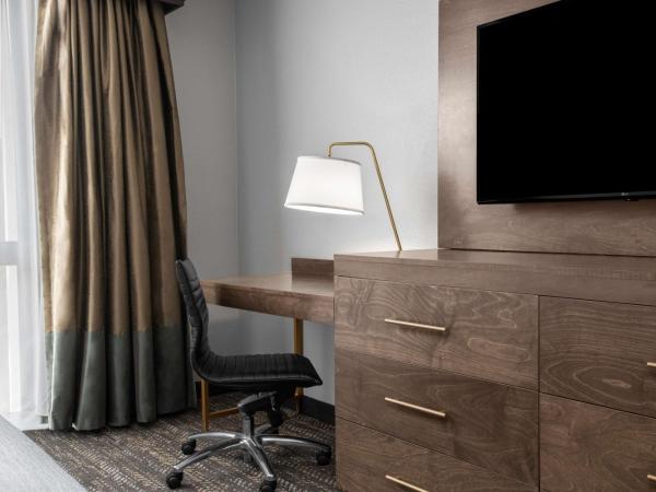 Embassy Suites by Hilton Nashville Airport : photo 2 de la chambre chambre lit king-size