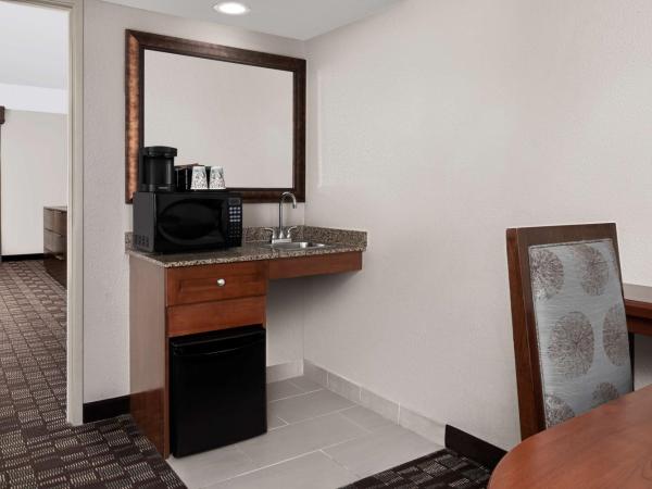 Embassy Suites by Hilton Nashville Airport : photo 4 de la chambre chambre lit king-size - accessible aux personnes à mobilité réduite - non-fumeurs 