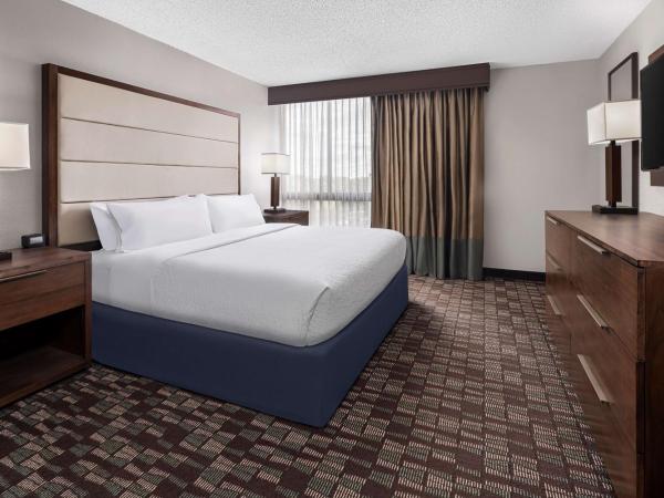 Embassy Suites by Hilton Nashville Airport : photo 5 de la chambre chambre lit king-size - accessible aux personnes à mobilité réduite - non-fumeurs