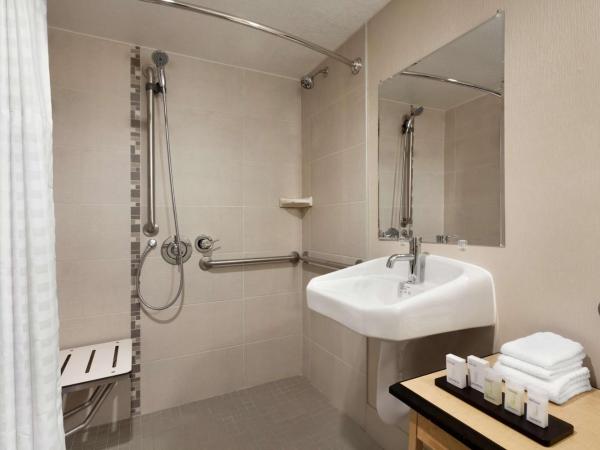 Embassy Suites by Hilton Convention Center Las Vegas : photo 5 de la chambre suite 1 chambre lit king-size avec douche accessible en fauteuil roulant - adaptée aux personnes à mobilité réduite