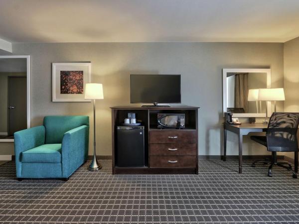Hampton Inn & Suites Albuquerque Airport : photo 3 de la chambre chambre 2 lits queen-size - accessible aux personnes à mobilité réduite et adaptée aux personnes malentendantes - non-fumeurs