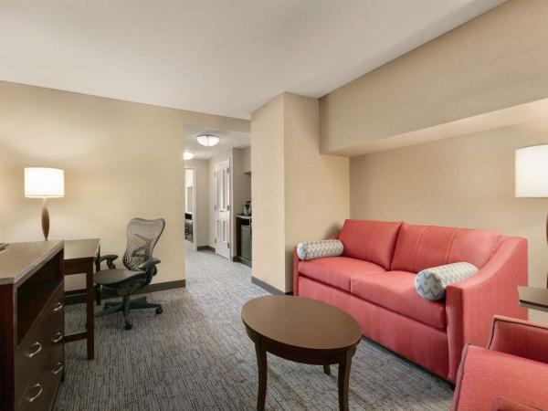 Hilton Garden Inn Atlanta Downtown : photo 4 de la chambre suite junior lit king-size avec coin salon