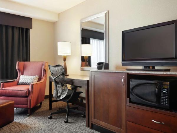 Hilton Garden Inn Atlanta Downtown : photo 4 de la chambre chambre avec 2 lits queen-size - douche accessible en fauteuil roulant - accessible aux personnes à mobilité réduite