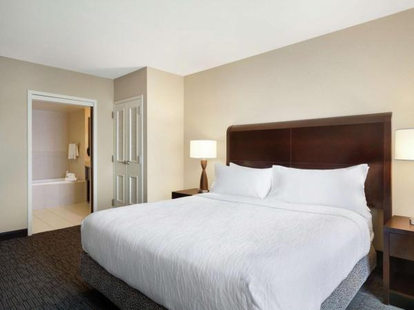 Hilton Garden Inn Atlanta Downtown : photo 3 de la chambre suite deluxe avec lit king-size