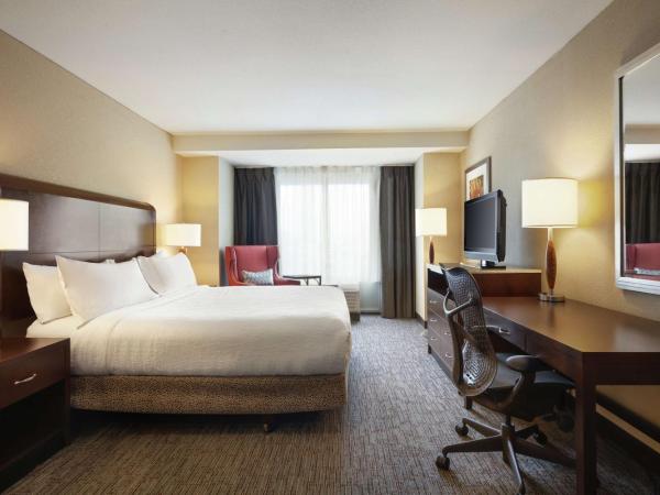 Hilton Garden Inn Atlanta Downtown : photo 4 de la chambre chambre lit king-size avec baignoire spa et vue sur la ville