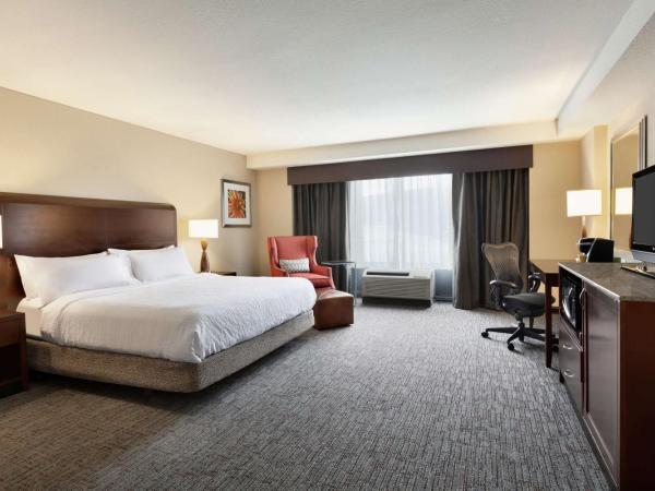 Hilton Garden Inn Atlanta Downtown : photo 1 de la chambre chambre lit king-size