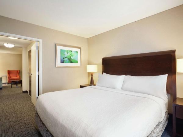 Hilton Garden Inn Atlanta Downtown : photo 3 de la chambre suite junior lit king-size avec coin salon