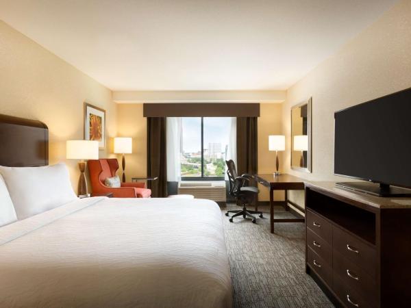 Hilton Garden Inn Atlanta Downtown : photo 2 de la chambre chambre lit king-size