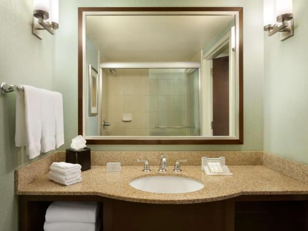 Hilton Garden Inn Atlanta Downtown : photo 5 de la chambre chambre lit king-size