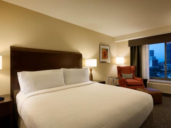 Hilton Garden Inn Atlanta Downtown : photo 4 de la chambre chambre lit king-size