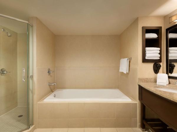 Hilton Garden Inn Atlanta Downtown : photo 2 de la chambre chambre lit king-size avec baignoire spa et vue sur la ville