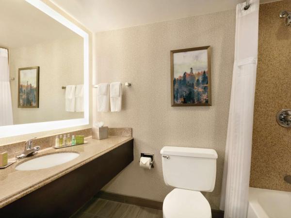 DoubleTree by Hilton Atlanta Northeast/Northlake : photo 7 de la chambre chambre lit king-size - pour personnes malentendantes