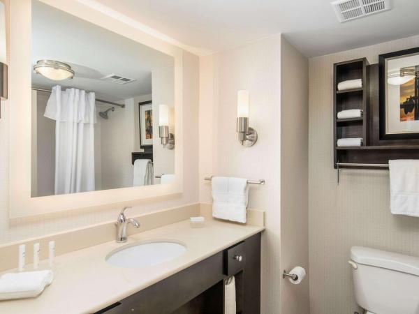 Homewood Suites by Hilton Austin South : photo 1 de la chambre suite 1 chambre lit king-size - non-fumeurs