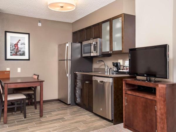 Homewood Suites by Hilton Austin South : photo 2 de la chambre suite 1 chambre lit king-size - non-fumeurs