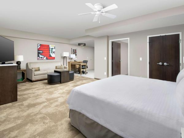 Homewood Suites by Hilton Austin Downtown : photo 2 de la chambre studio lit king-size - accessible aux personnes à mobilité réduite et adapté aux personnes malentendantes - non-fumeurs