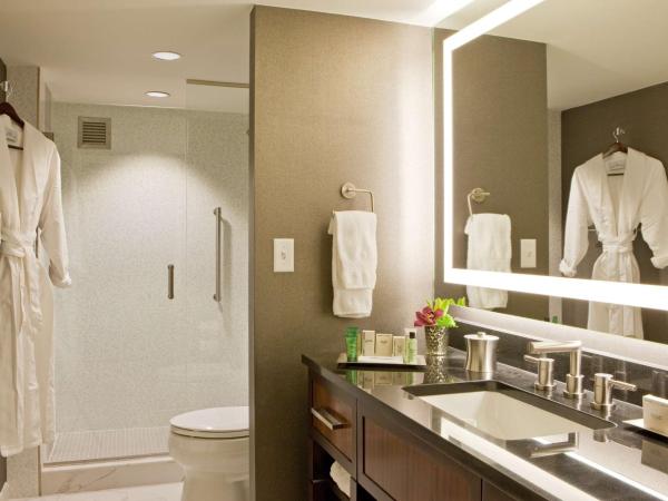 Hilton Nashville Downtown : photo 5 de la chambre chambre king exécutive avec vue sur le parc