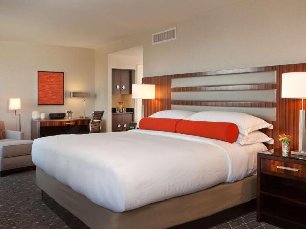 Hilton Nashville Downtown : photo 1 de la chambre suite lit king-size 1 chambre exécutive