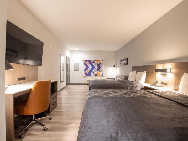 Express Inn & Suites : photo 1 de la chambre chambre double deluxe