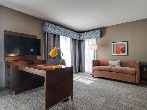 Hampton Inn & Suites by Hilton Nashville North Skyline : photo 2 de la chambre suite studio avec lit king-size - vue sur ville - non-fumeurs