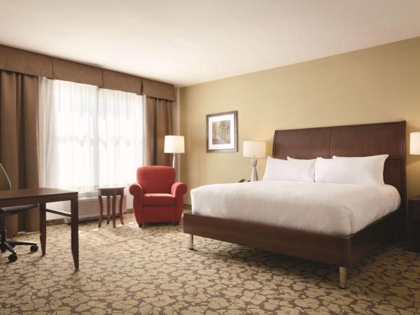 Hilton Garden Inn Boston Logan Airport : photo 2 de la chambre chambre lit king-size avec baignoire - accessible aux personnes à mobilité réduite et adaptée aux personnes malentendantes