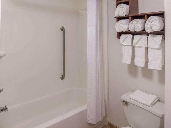 Hampton Inn Columbia Northeast-Fort Jackson Area : photo 6 de la chambre chambre lit king-size - non-fumeurs