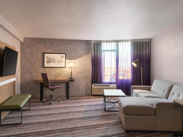 Holiday Inn Philadelphia Arpt-Stadium Area, an IHG Hotel : photo 4 de la chambre suite lit king-size 1 chambre avec canapé-lit - vue sur ville