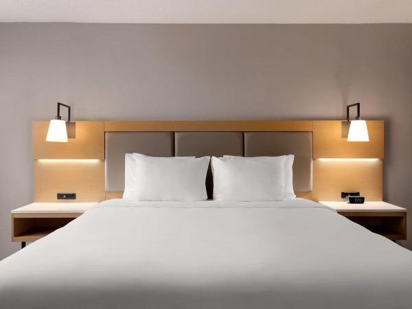 Holiday Inn Philadelphia Arpt-Stadium Area, an IHG Hotel : photo 4 de la chambre chambre lit king-size standard