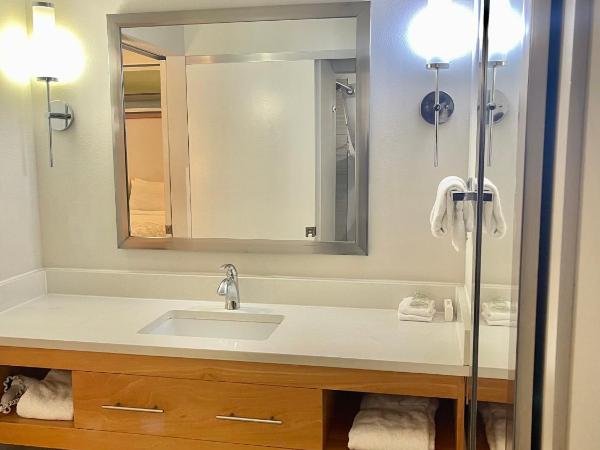 Red Roof Inn PLUS & Suites Tampa : photo 4 de la chambre chambre lit king-size deluxe - non-fumeurs