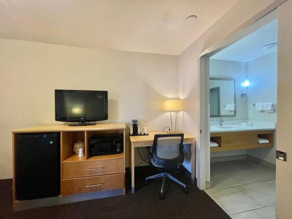 Red Roof Inn PLUS & Suites Tampa : photo 3 de la chambre chambre lit king-size deluxe - non-fumeurs