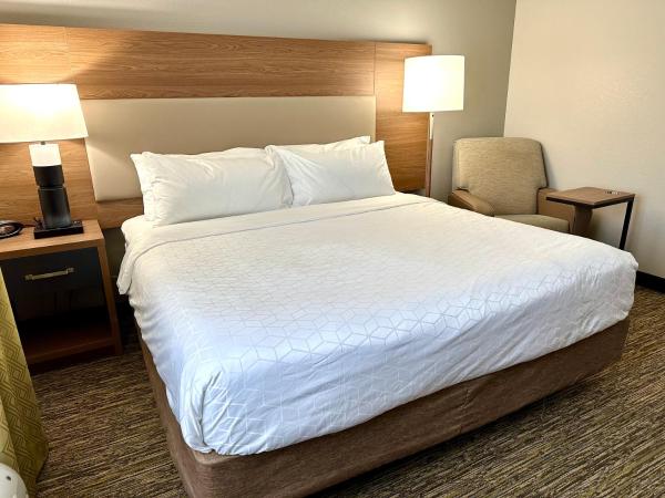 Candlewood Suites Savannah Airport, an IHG Hotel : photo 3 de la chambre suite studio lit king-size