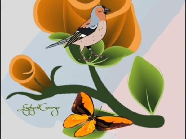 Pousada do Joaquimxdarc : photo 10 de la chambre chambre familiale avec douche