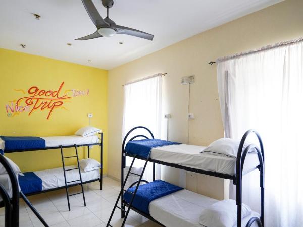Los Mochileros Hostel - Age Limit 18-28 : photo 5 de la chambre lit simple dans dortoir pour femmes