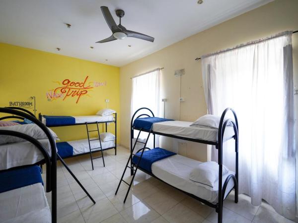 Los Mochileros Hostel - Age Limit 18-28 : photo 7 de la chambre lit simple dans dortoir pour femmes