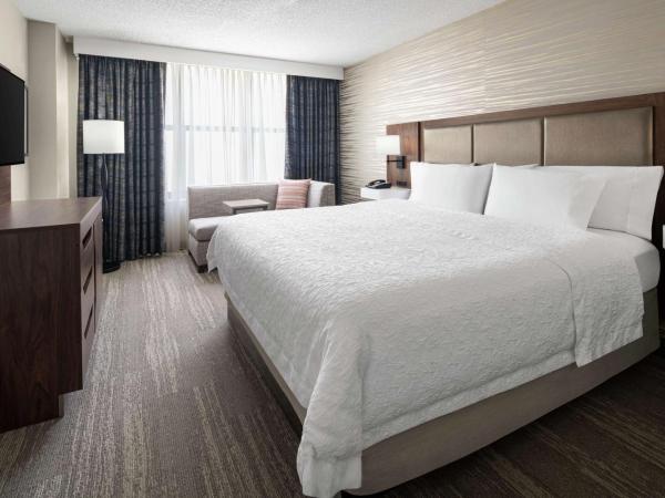 Hampton Inn & Suites Chicago-Downtown : photo 5 de la chambre suite 1 chambre lit king-size