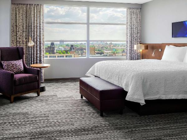 Hilton Garden Inn Chicago McCormick Place : photo 2 de la chambre chambre lit king-size d'angle avec vue