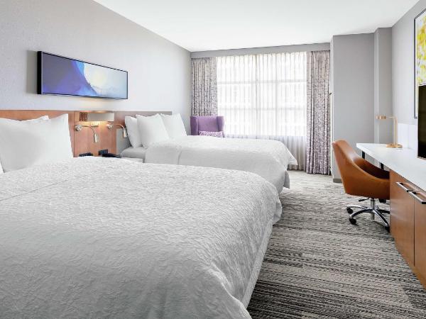 Hilton Garden Inn Chicago McCormick Place : photo 1 de la chambre chambre double avec 2 lits doubles - non-fumeurs