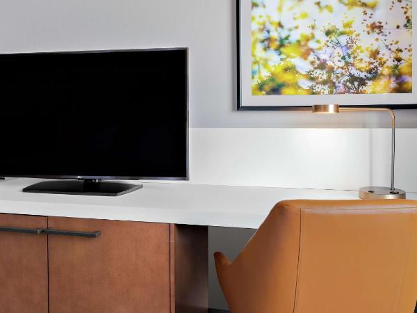 Hilton Garden Inn Chicago McCormick Place : photo 3 de la chambre chambre lit king-size