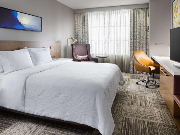 Hilton Garden Inn Chicago McCormick Place : photo 5 de la chambre chambre lit king-size