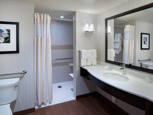 Hilton Garden Inn Chicago Downtown Riverwalk : photo 3 de la chambre chambre lit king-size avec douche accessible en fauteuil roulant - adaptée aux personnes à mobilité réduite