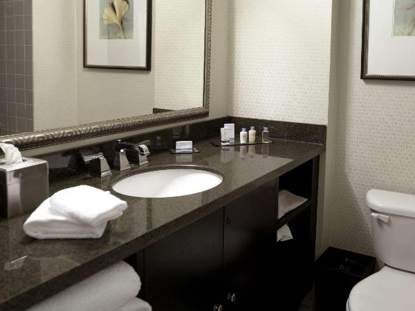 DoubleTree by Hilton Charlotte Airport : photo 4 de la chambre chambre lit king-size - non-fumeurs