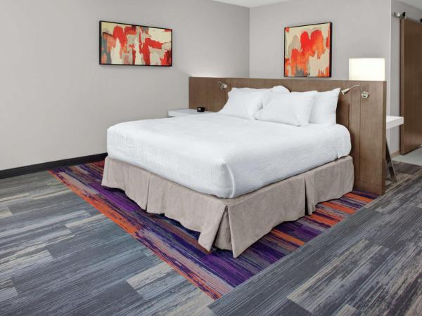 Hilton Garden Inn Charlotte Waverly : photo 2 de la chambre premium king room with roll-in shower - mobility accessible