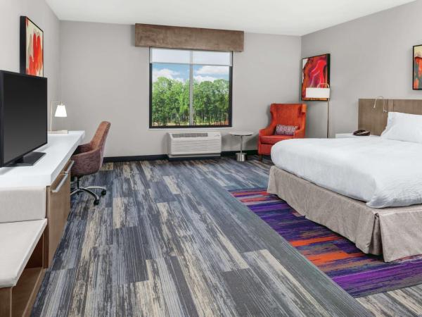 Hilton Garden Inn Charlotte Waverly : photo 1 de la chambre chambre lit king-size avec baignoire accessible aux personnes à mobilité réduite - adaptée aux personnes à mobilité réduite