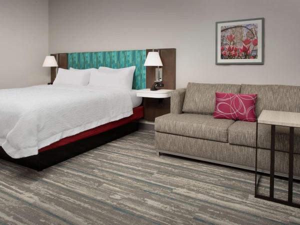 Hampton Inn & Suites Charlotte Airport Lake Pointe : photo 3 de la chambre chambre lit king-size avec canapé-lit