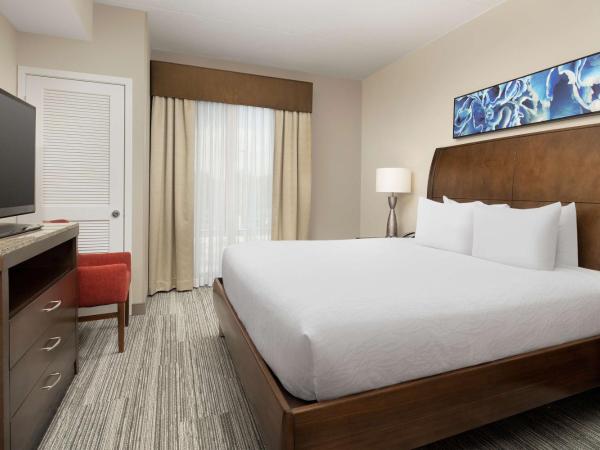 Hilton Garden Inn Charlotte Airport : photo 1 de la chambre suite 1 chambre lit king-size