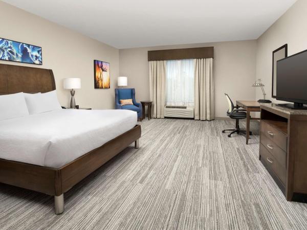 Hilton Garden Inn Charlotte Airport : photo 1 de la chambre chambre lit king-size avec baignoire accessible aux personnes à mobilité réduite - adaptée aux personnes à mobilité réduite